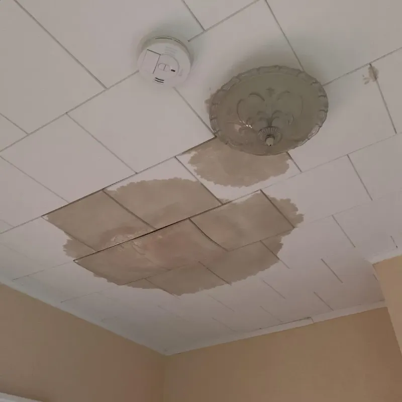 Ceiling Water Damage Repair in Chelsea, OK
