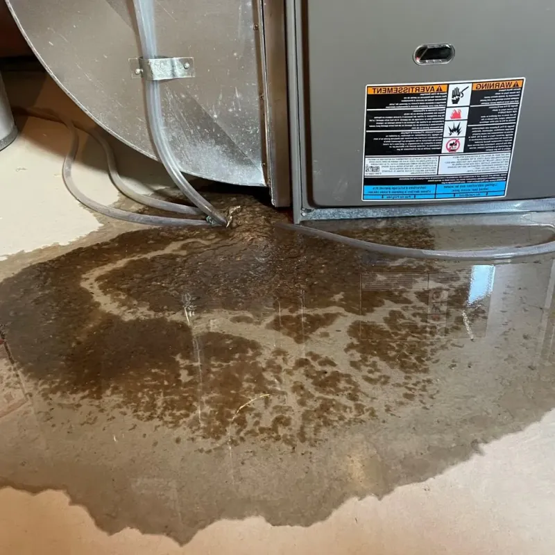 Pipe Burst and Leak Restoration in Chelsea, OK